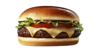 SINGLE RODEO BURGER