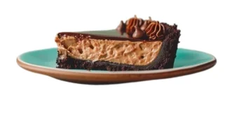 CHOCOLATE CAKE SLICE