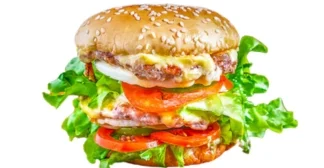 DOUBLE CHEESE BURGER