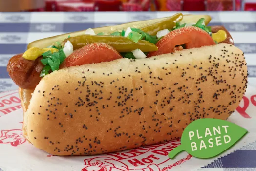 Plant-based Garden Dog
